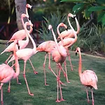 Natura Park Beach & Spa Eco Resort