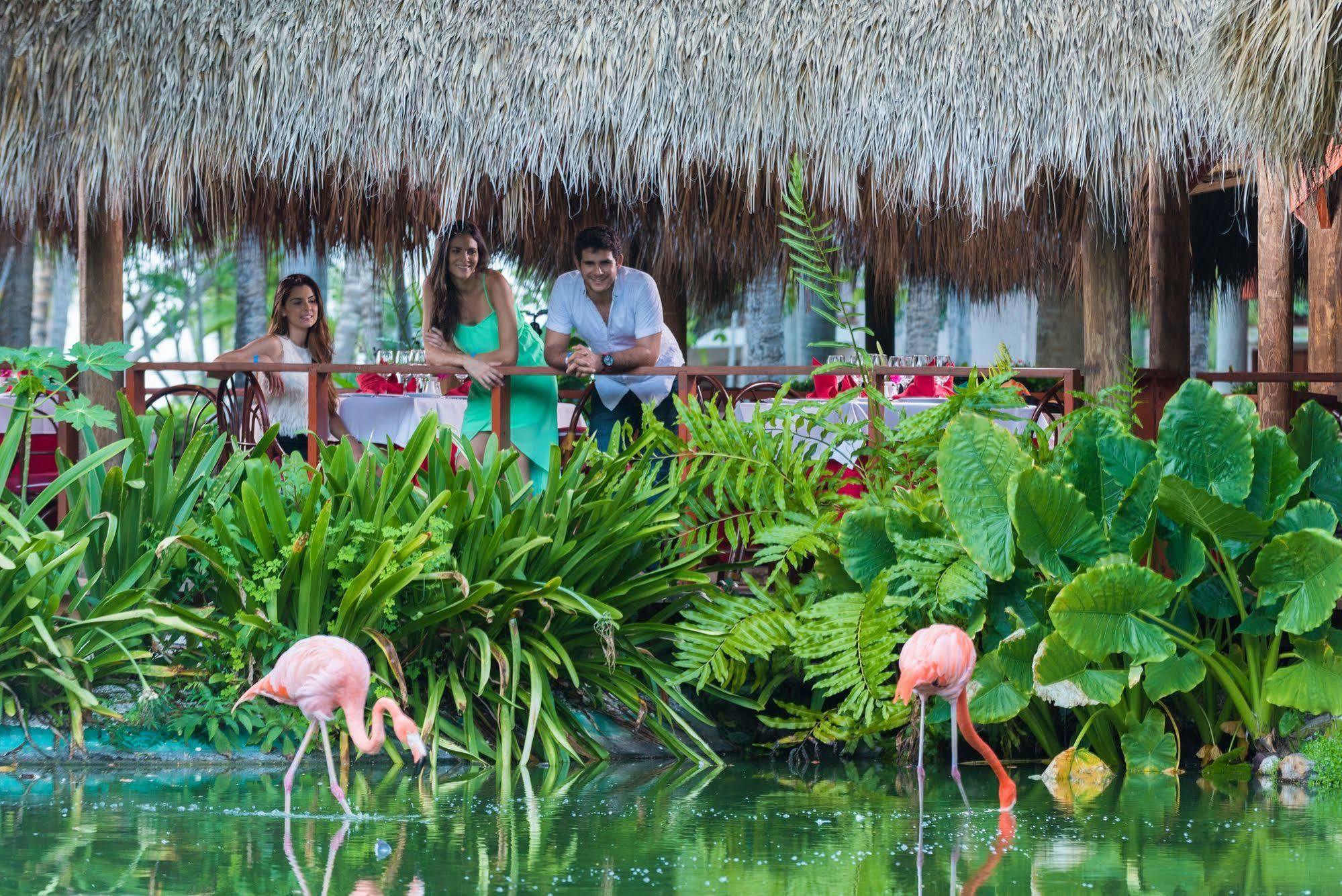 Resort Natura Park & Eco