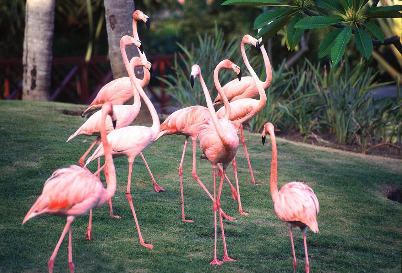 Natura Park & Eco Resort 5*